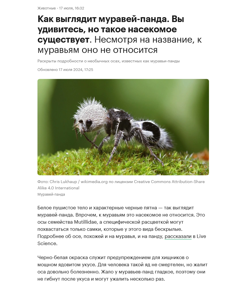 Комментарии