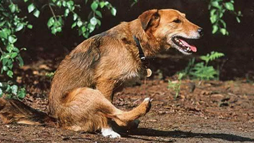 Комментарии