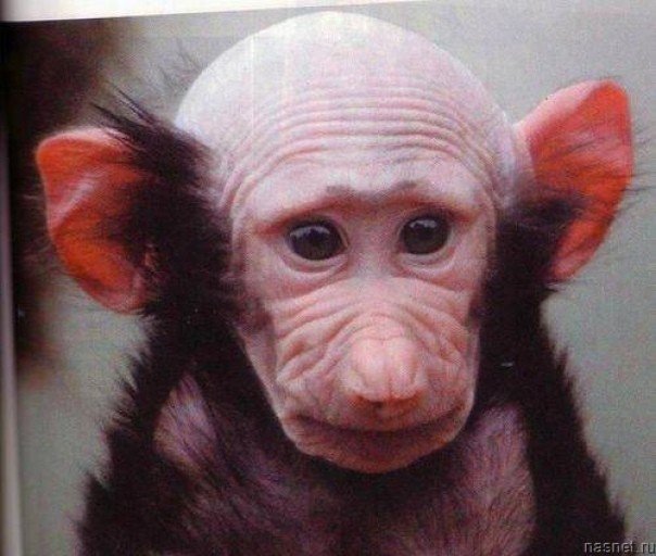 Комментарии