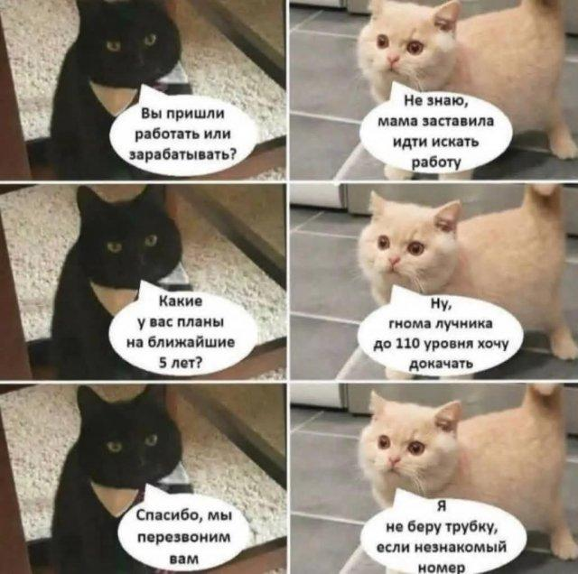 Комментарии