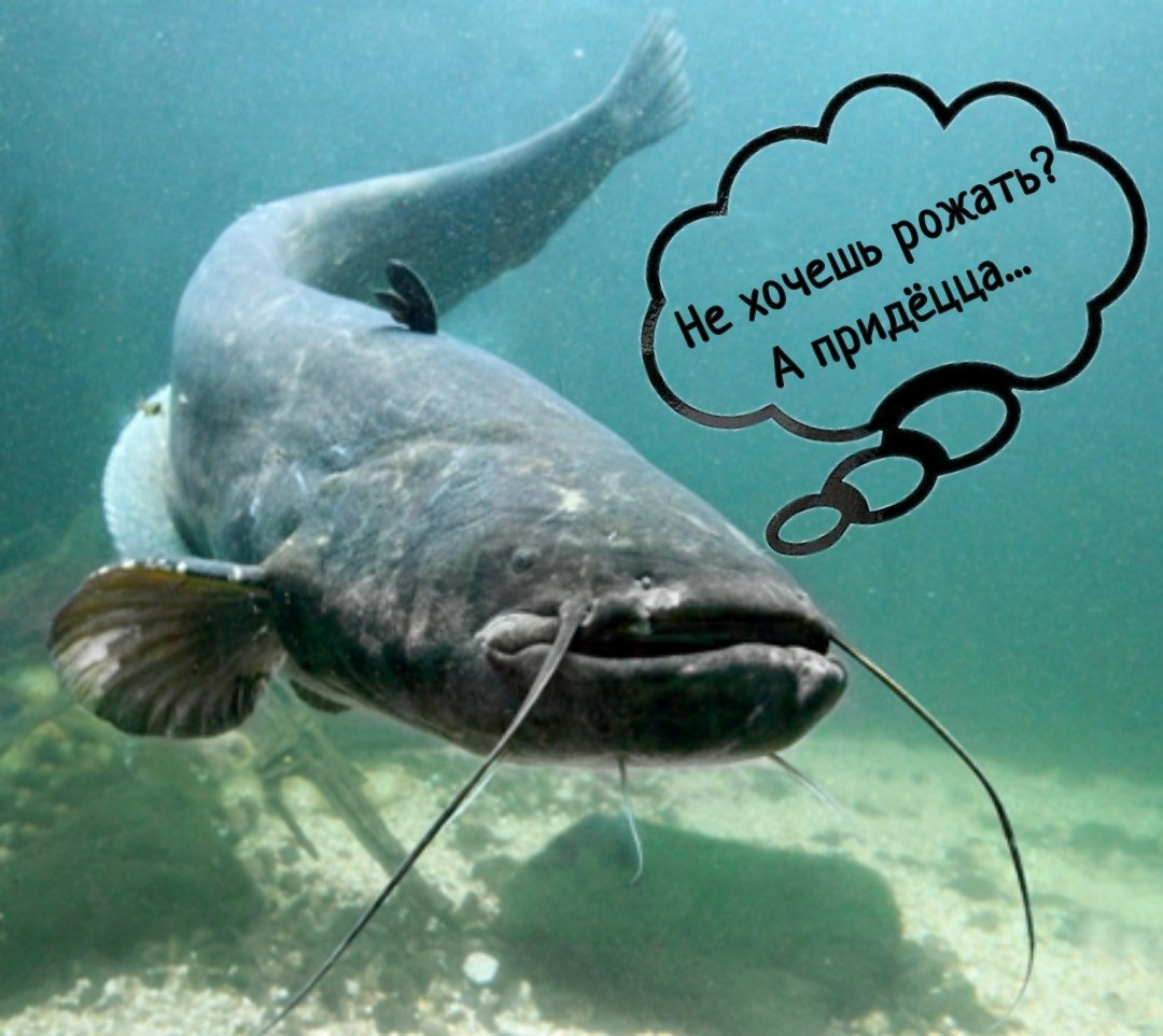 Комментарии