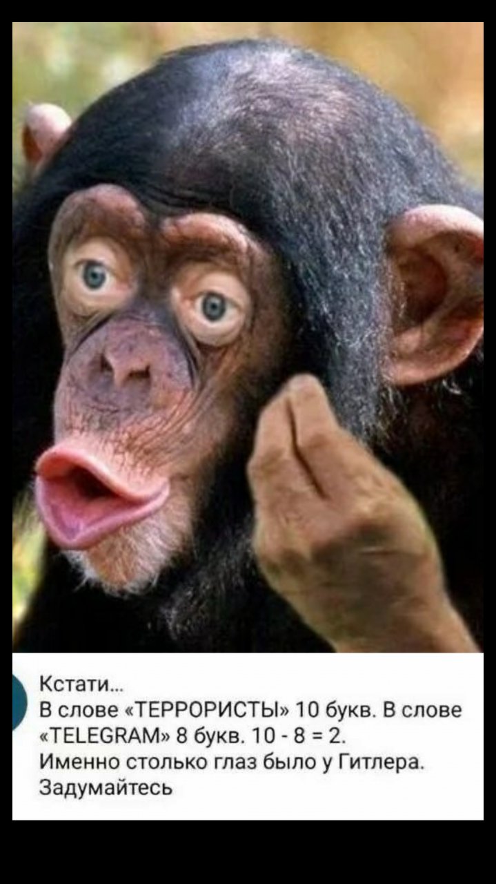 Комментарии