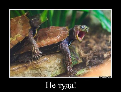 Комментарии