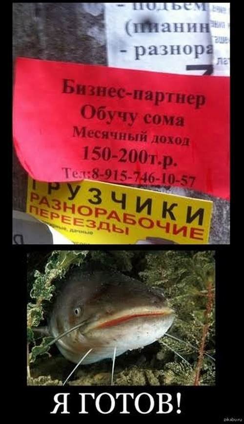 Комментарии