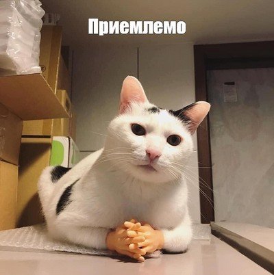 Комментарии