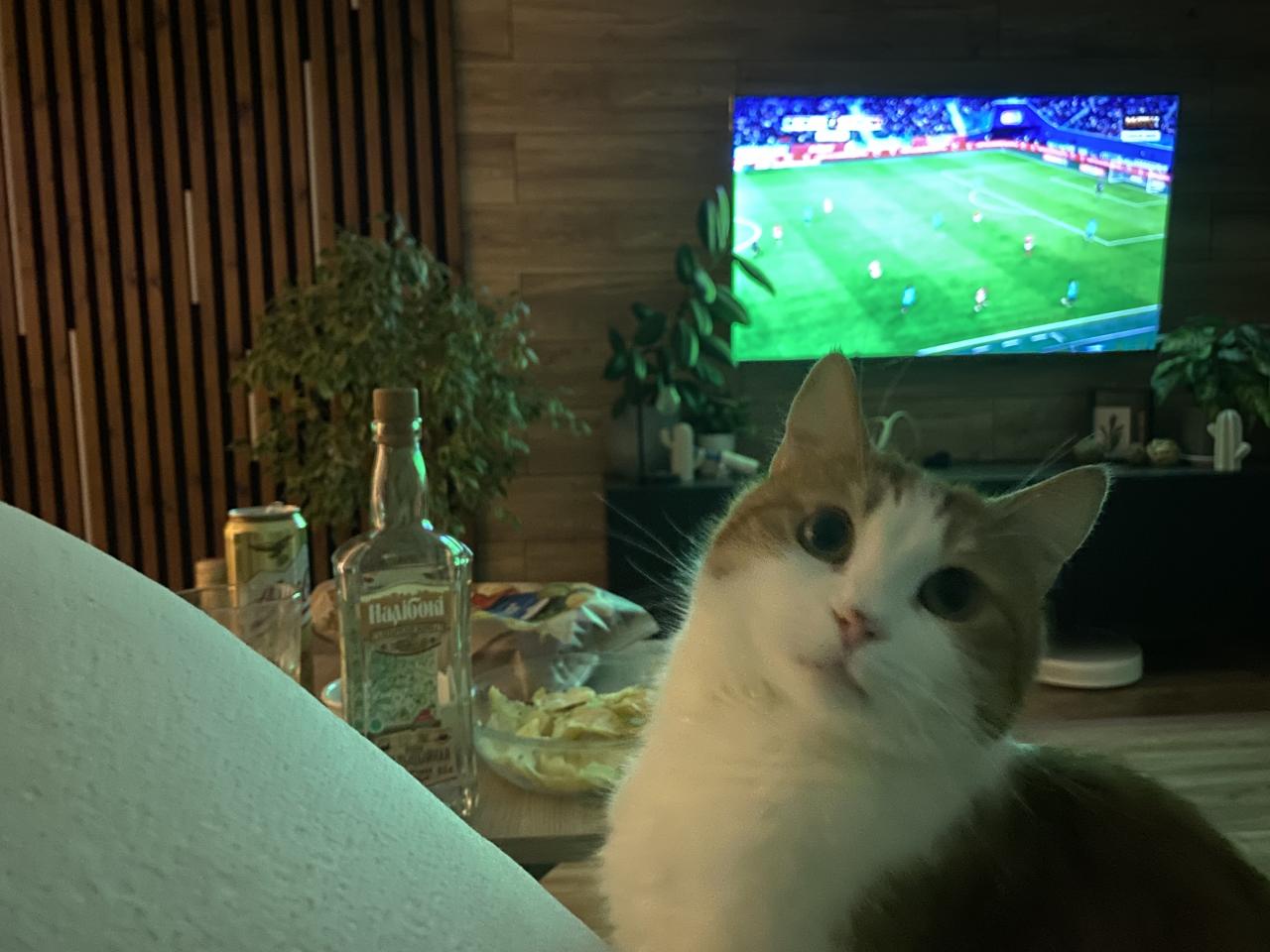 Комментарии